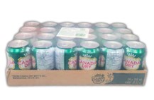 Canada Dry Ginger Ale 355 mL can, refreshing carbonated soft drink with classic ginger flavor.