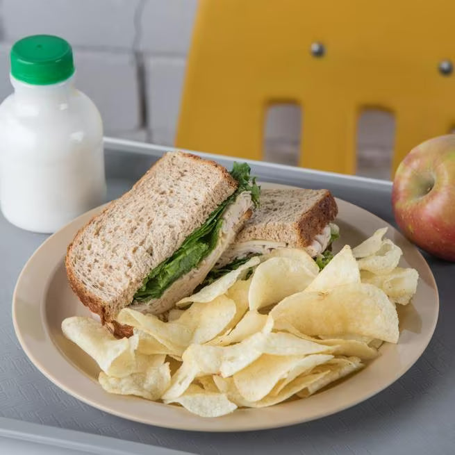 10 Inch Tan Polycarbonate Narrow Rim Plate with scratch resistant surface and break resistant construction. Ideal for restaurants, cafeterias, catering, buffets, and commercial foodservice.