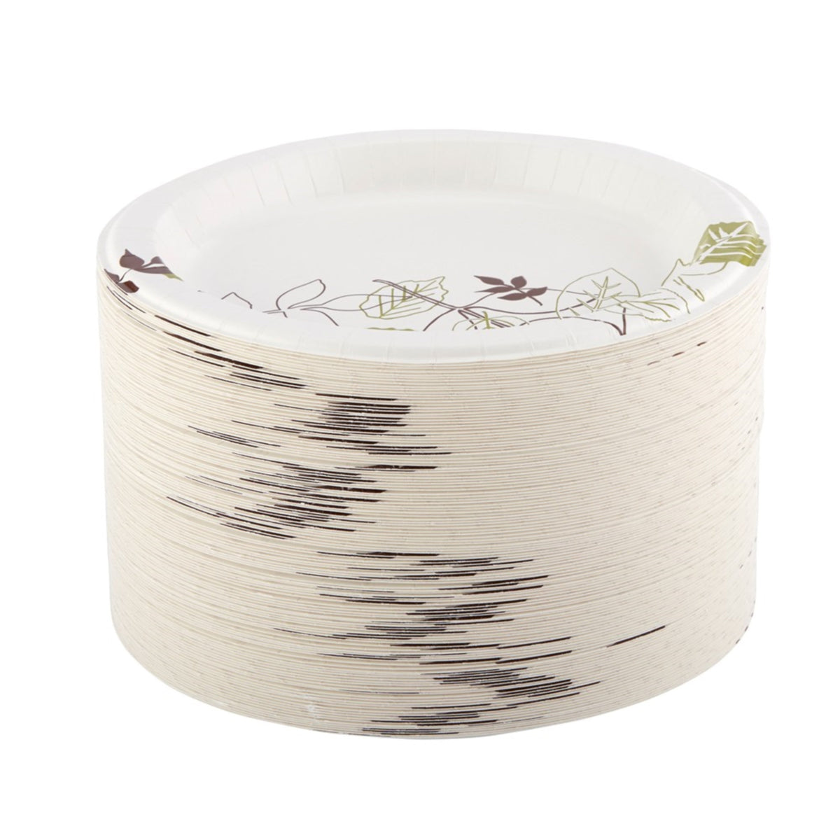 10 Inch White Printed Round Disposable Ultra Pathways Paper Plate