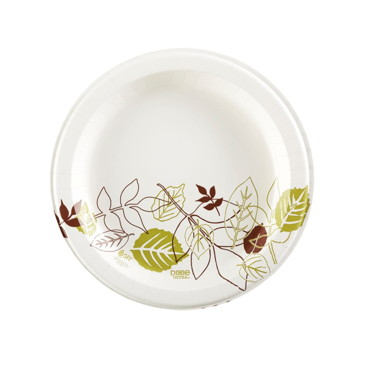 10 Inch White Printed Round Disposable Ultra Pathways Paper Plate