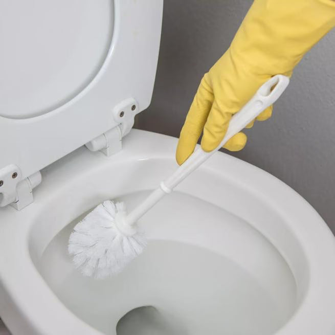 White Bowl Brush with Polypropylene Bristles 11 inches, 361015002, 24/case