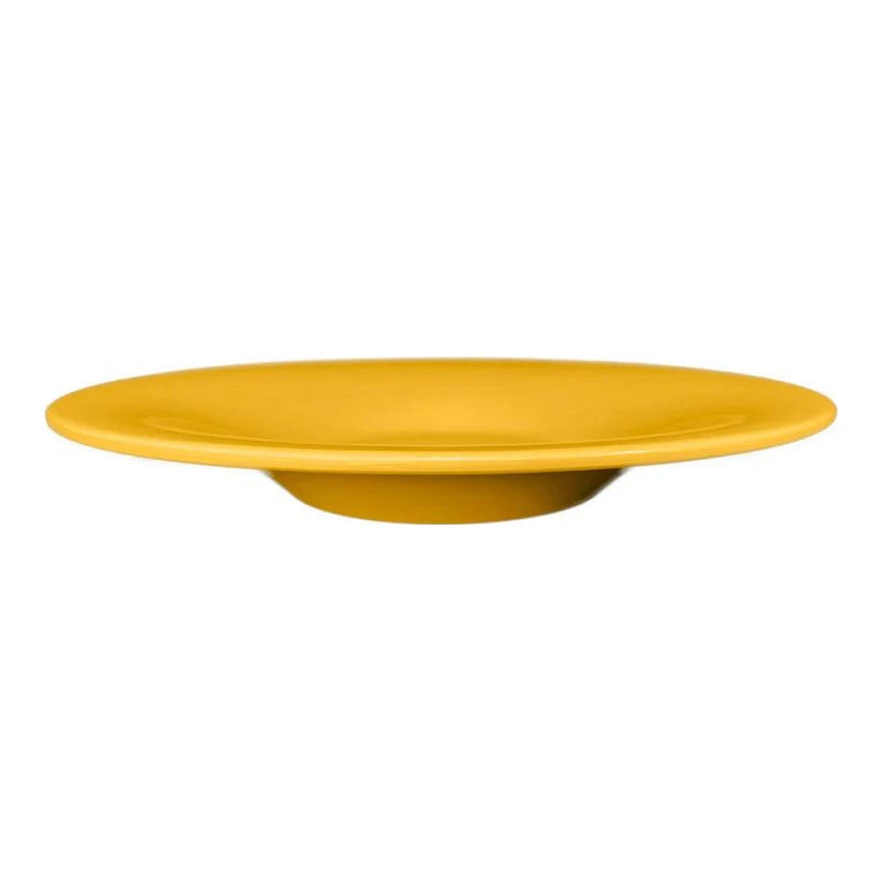 Thunder Group Pasta Bowl 12/Pcs will be suitable for both casual and formal food-serving establishments. This pasta bowl works with any dinner table settings and interior designs from Italian to Asian style. It is good for anything and everything - pasta, salad, soup or main dishes. Perfect for hot, steaming bowls of pasta or even cream-soup. You can also look out for the other plates and bowls in the same Western series if you want to create a matching set. It is non-toxic, BPA free, NSF listed. 