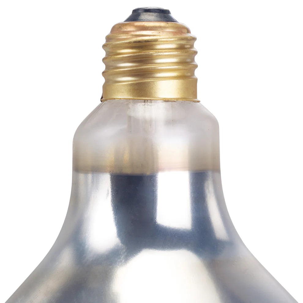 Winco EHL-BR/BW, 250W Red and White Shatter-Resistant Bulb