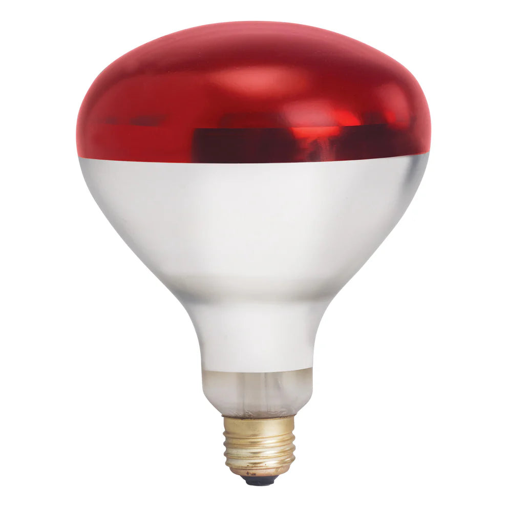 Winco EHL-BR/BW, 250W Red and White Shatter-Resistant Bulb