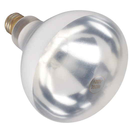 Winco EHL-BR/BW, 250W Red and White Shatter-Resistant Bulb