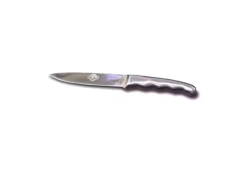 Stainless steel chef's knife