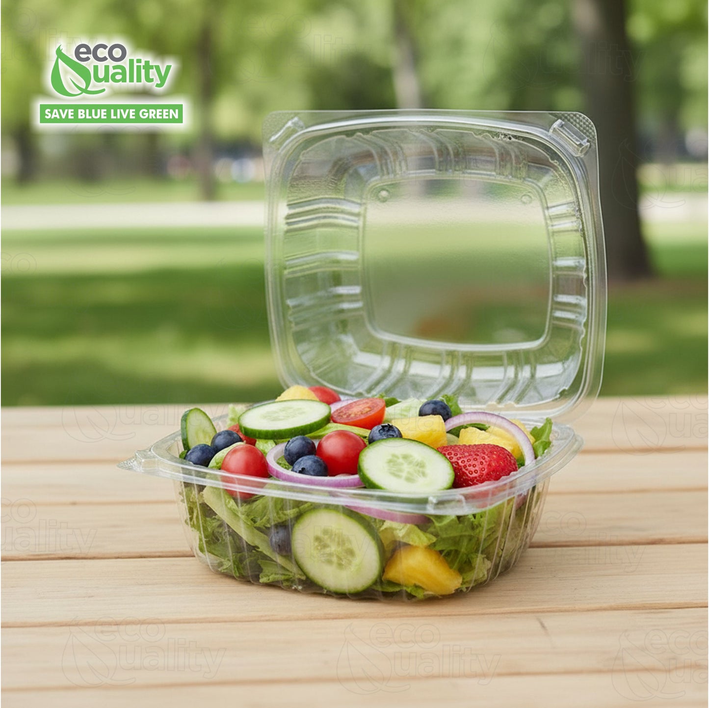 6" x 6" Clear Plastic Clamshell Take Out Food Container