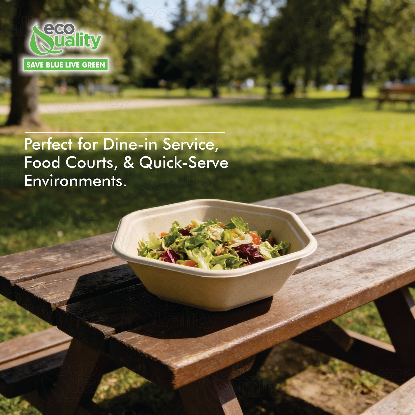 Hexagon 24oz disposable bowl made from sugarcane fiber compostable catering use