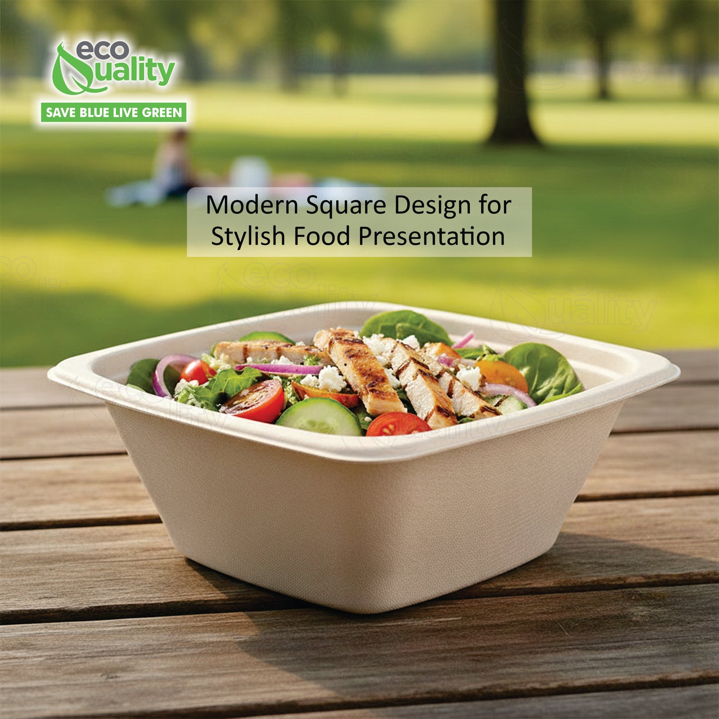 Eco Friendly Disposable Square Bowls Compostable Container