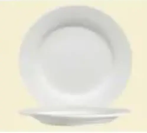 C.A.C. 12" Round Plate – Durable & Elegant Dinnerware (SKU: RSCAC-101-21)