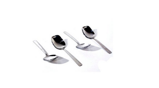 Stainless Steel Serving Spoon