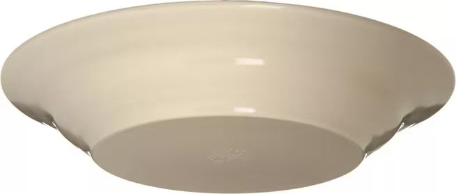 Serve soups, pasta, and salads with style using the 5400315 Aqua Melamine Rimmed Soup Bowl. This 28.5 oz break resistant bowl features a rustic pottery inspired design, making it ideal for restaurants, catering, buffets, and home dining.
