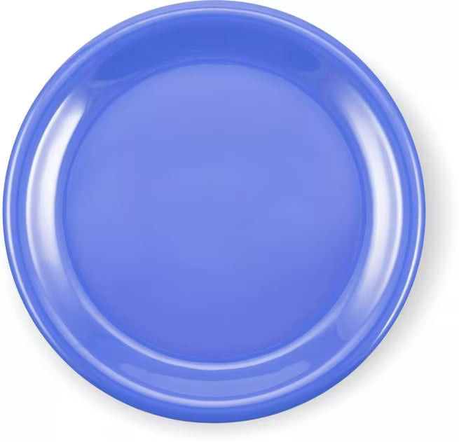 9 Inch Ocean Blue Sierrus Melamine Narrow Rim Dinner Plate with commercial grade durability shatter resistant construction and temperature insulated design. Ideal for restaurants cafes hospitals schools catering and home dining.