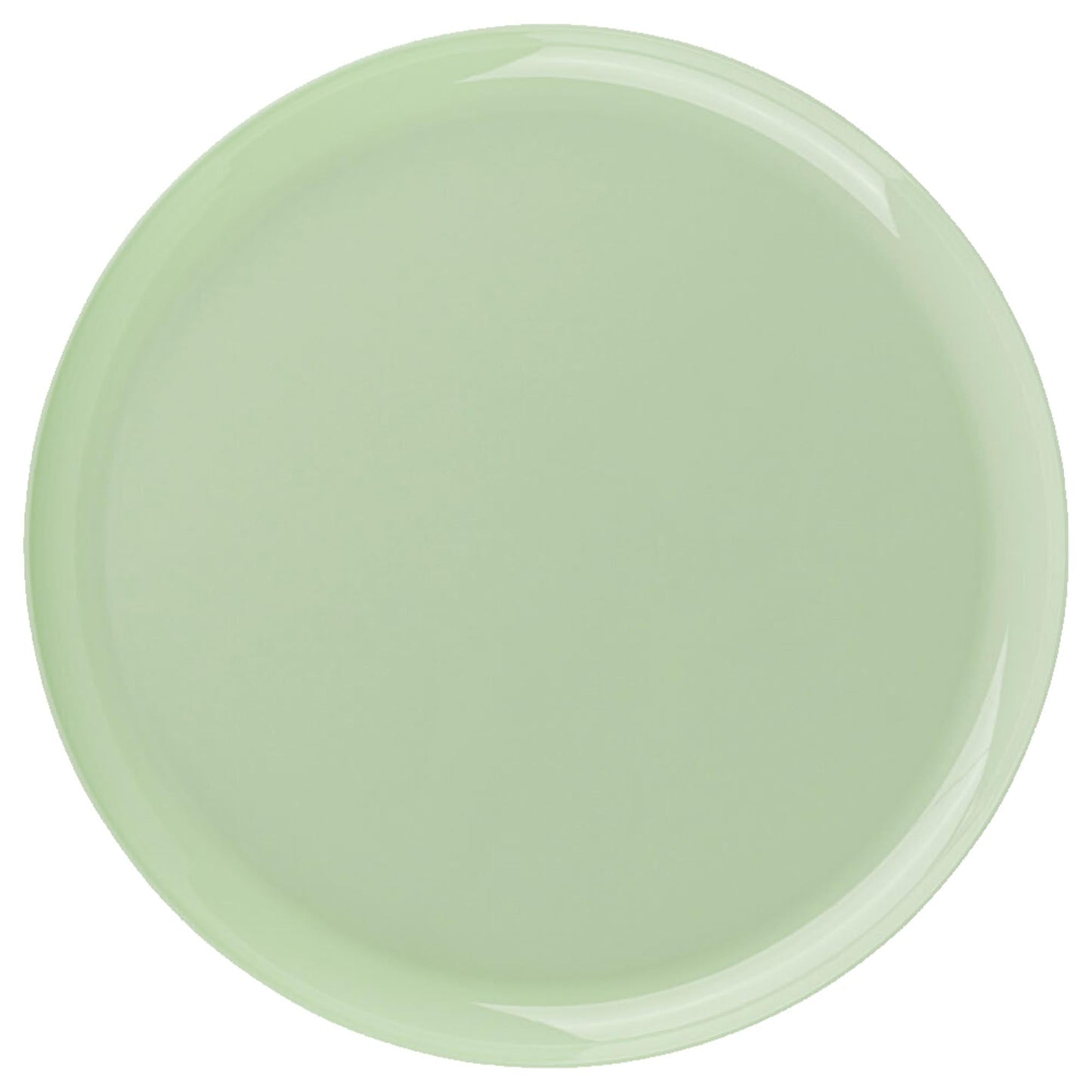 Plastic Tableware Mint Green Plates Edge Collection Dinner Party Set
