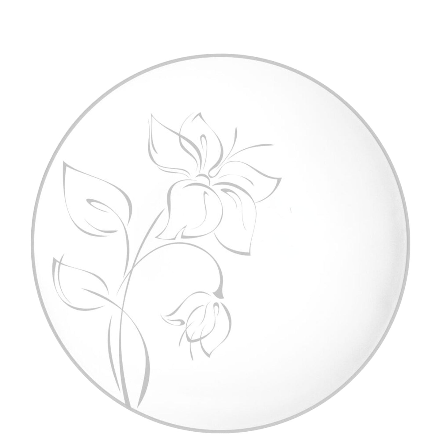 Plastic Party Plates Household Supplies Disposable Plastic Plates Bbq plates fancy disposable plates heavy duty plates classic elegant sturdy plates reusable wedding dinner salad dessert plates catering high quality birthday anniversary plating
