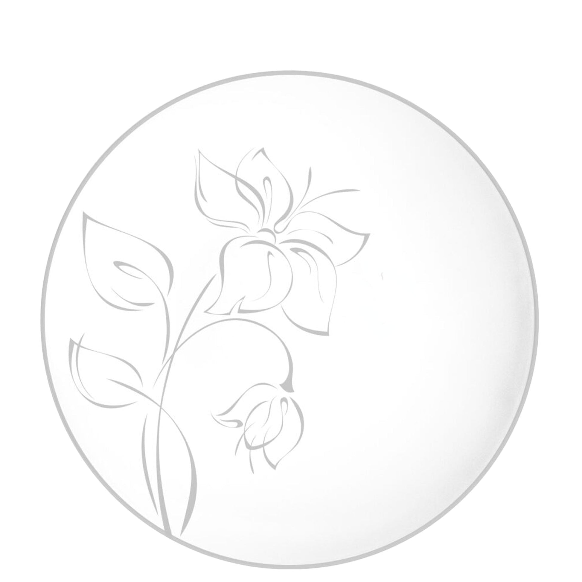 Plastic Party Plates Household Supplies Disposable Plastic Plates Bbq plates fancy disposable plates heavy duty plates classic elegant sturdy plates reusable wedding dinner salad dessert plates catering high quality birthday anniversary plating