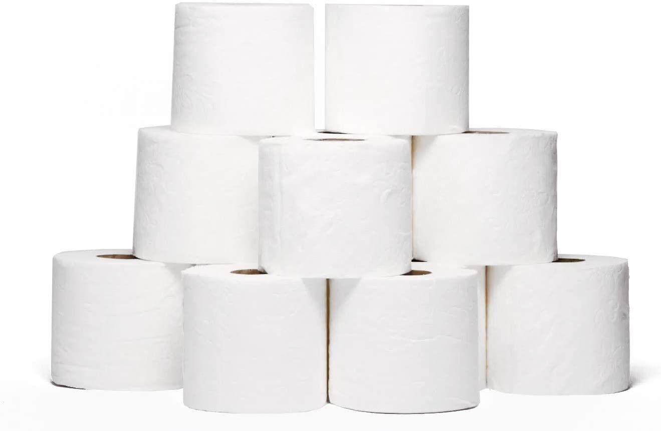 Toilet Paper 2 Ply Bathroom Tissue Soft & Absorbent Septic Safe 500 Sheet per Roll