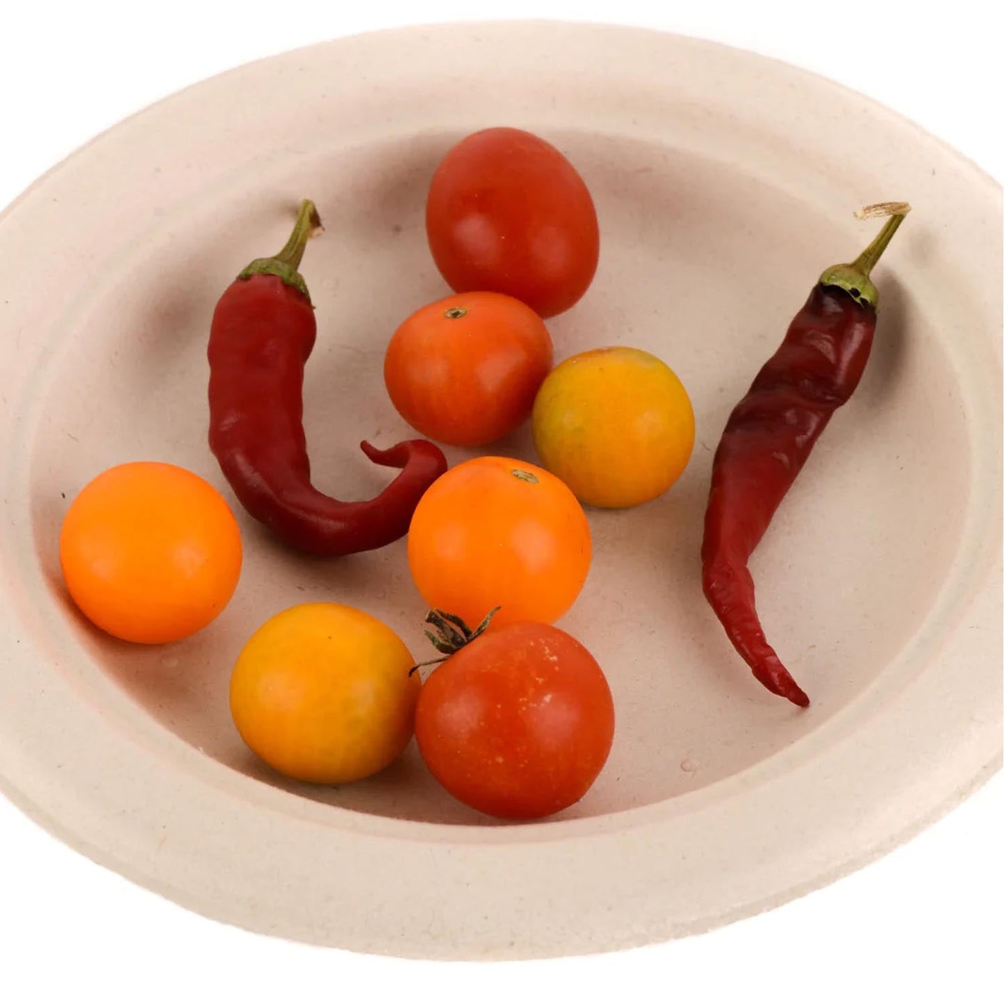 6" Round Compostable Natural Sugarcane Plates