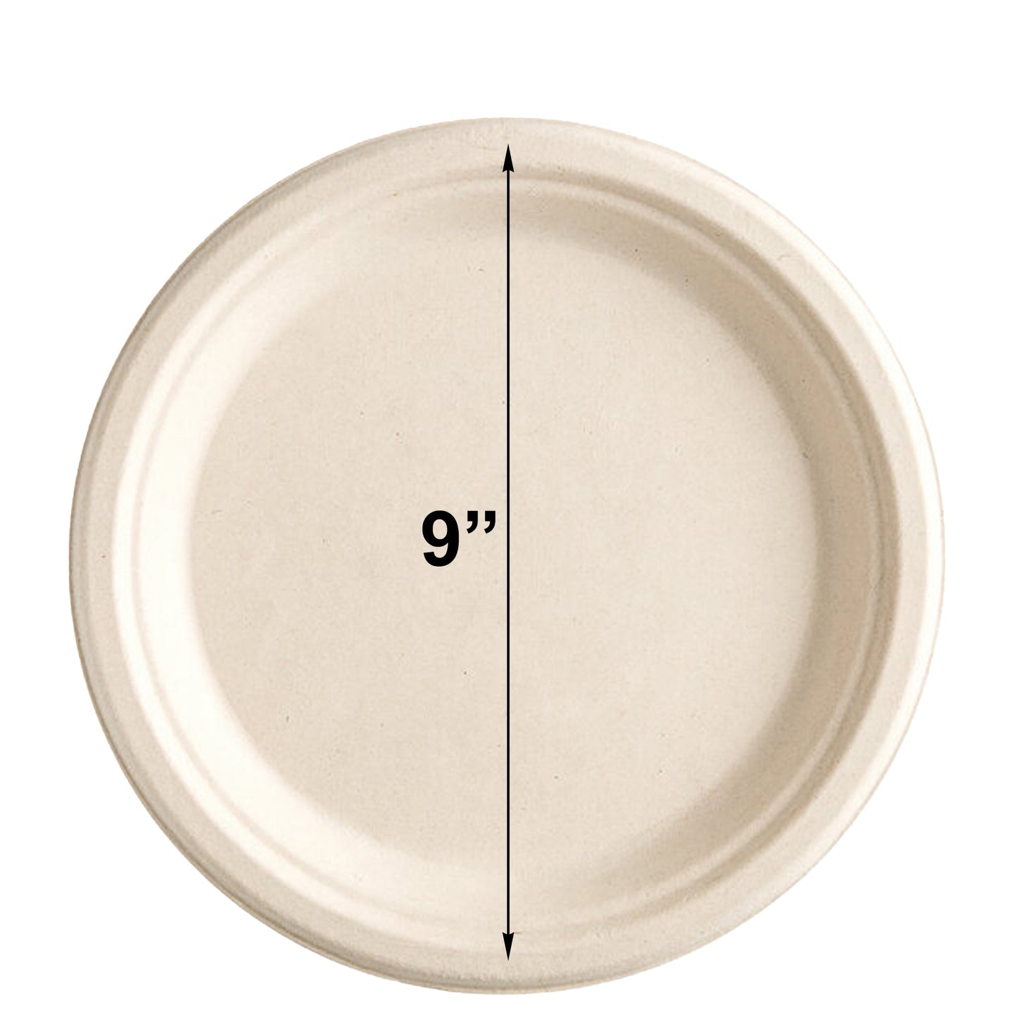 Compostable Biodegradable Eco Friendly Disposable Dinner Set