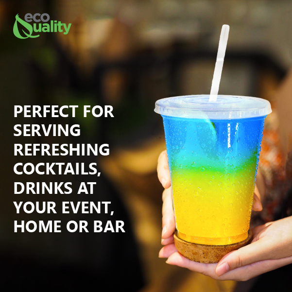 16oz Disposable Pet Clear Plastic Smoothie Cups with Clear Flat Lids and White Straws