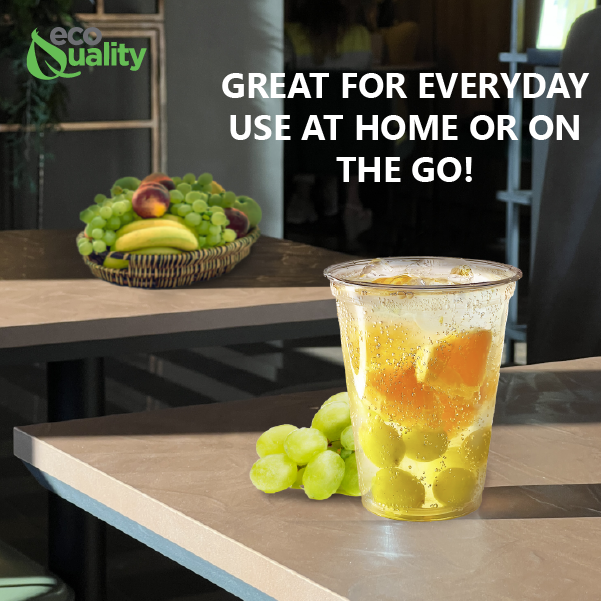 12oz Disposable Pet Clear Plastic Smoothie Cups