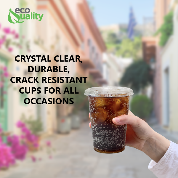 12oz Disposable Pet Clear Plastic Smoothie Cups with Clear Flat Lids