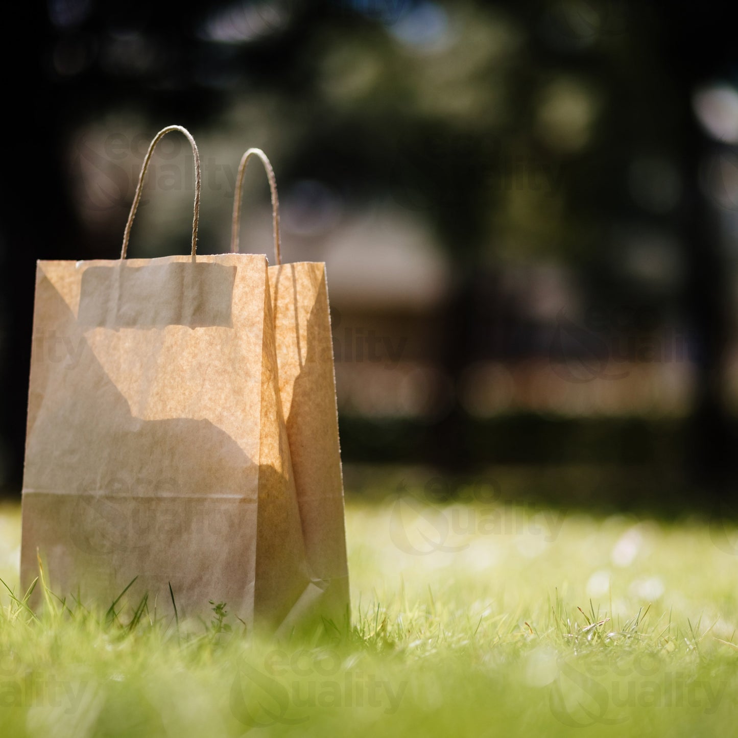 disposable bag Brown Paper Bags Brown Paper Shopping Bags foldable paper bag catering bags Brown kraft paper bag 1 pound candy bag snack bag gift bags DIY Bags arts and craft Sandwich Bag brown paper bag party favor bag lunch bag togo bag takeout bag
