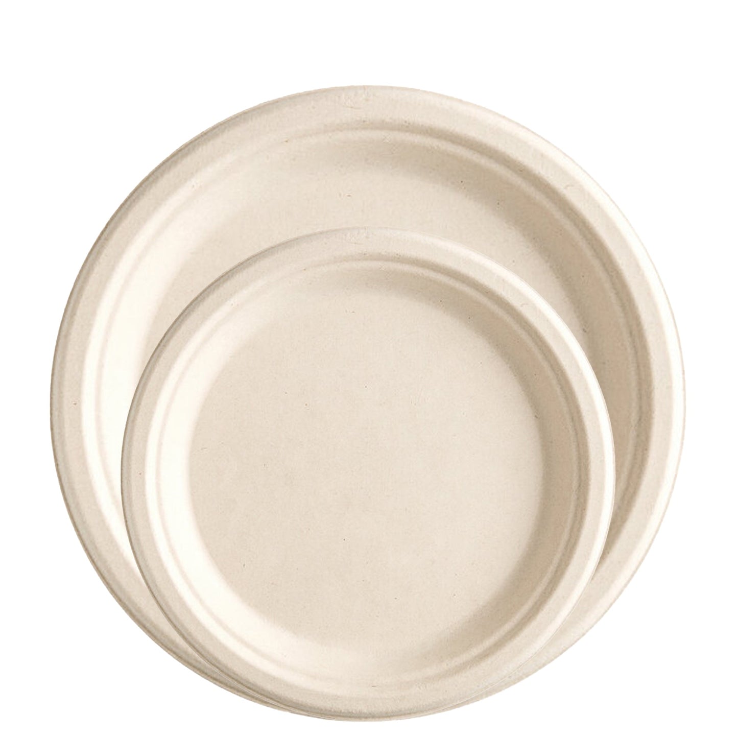 Compostable Biodegradable Eco Friendly Disposable Dinner Set