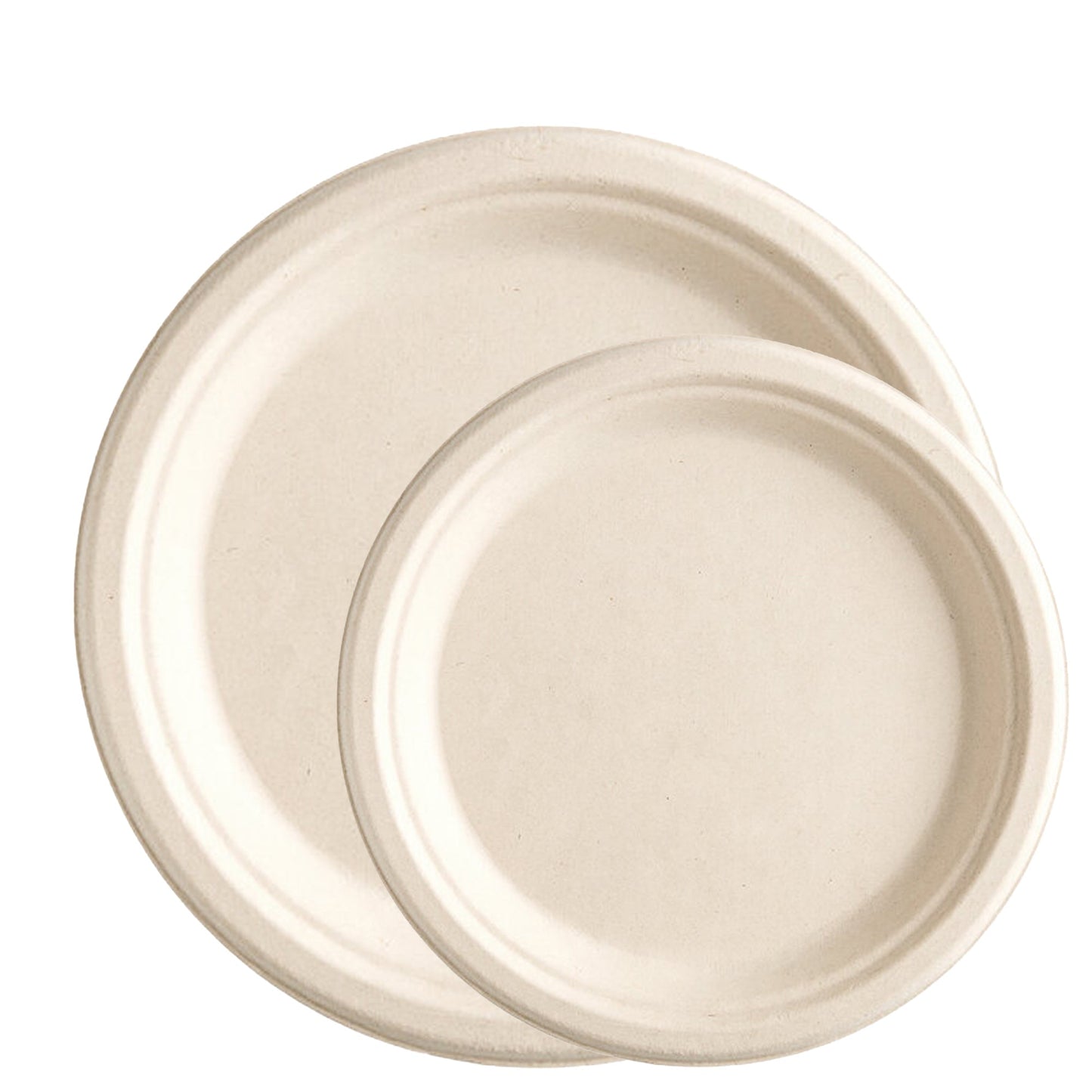 Compostable Biodegradable Eco Friendly Disposable Dinner Set