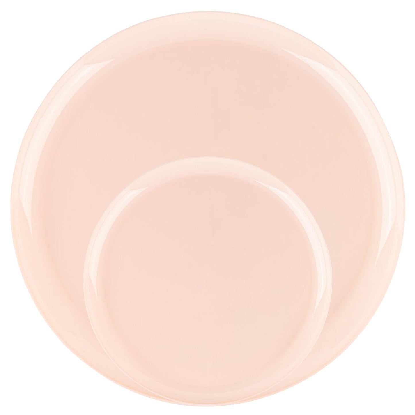 Plastic Party Plates Household Supplies Disposable Plastic Plates Bbq plates fancy disposable plates heavy duty plates classic elegant sturdy plates reusable wedding dinner salad dessert plates catering high quality birthday anniversary plating