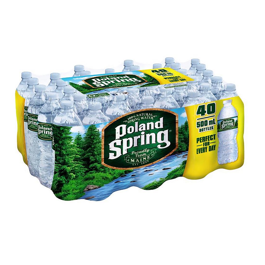 Poland Natural Spring Water in Plastic Bottle 40 Bottles/Case 16.9oz Each Bottle